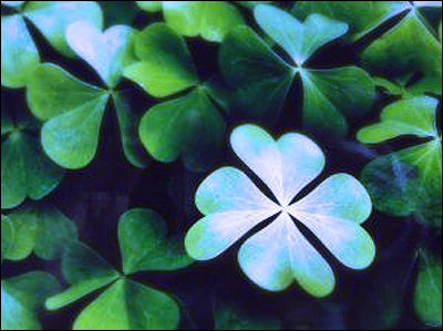 luck-clover-blue - The Colton Group